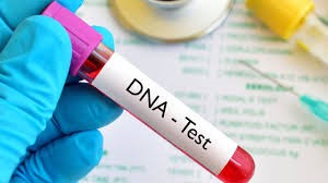 Le test ADN prénatal : un acte légal ?