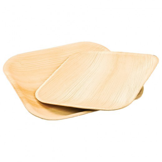 assiette jetable biodegradable